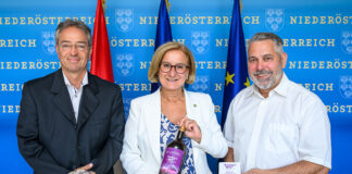 Amethyst Welt Maissau wird ausgebaut