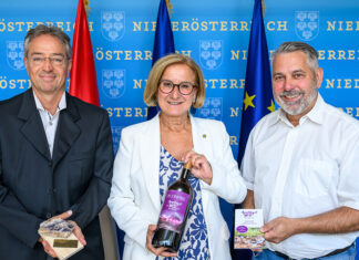 Amethyst Welt Maissau wird ausgebaut