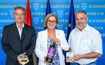 Amethyst Welt Maissau wird ausgebaut