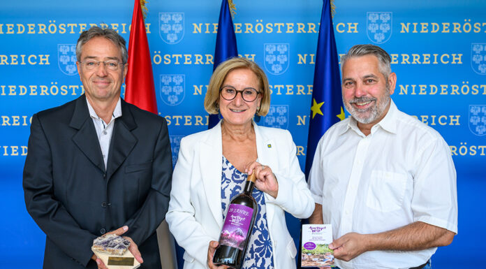 Amethyst Welt Maissau wird ausgebaut