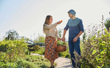 Sommer Genusstour im Weinviertel am 3. August