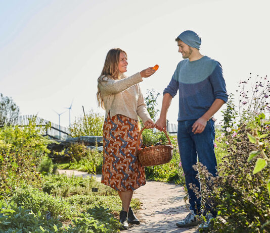 Sommer Genusstour im Weinviertel am 3. August