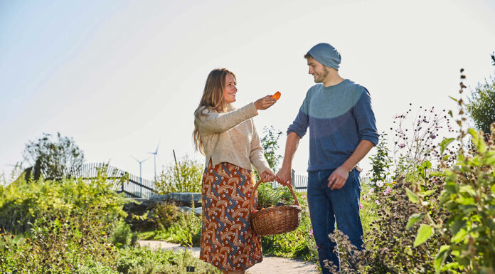 Sommer Genusstour im Weinviertel am 3. August