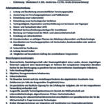 Stellenausschreibung_LMTZ_Juni_2025 (1)