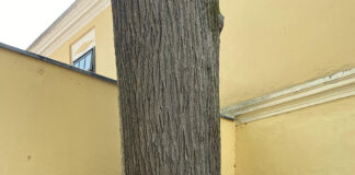 Hofheuriger der Werkskapelle Busatis