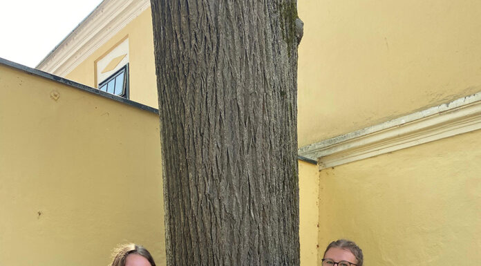 Hofheuriger der Werkskapelle Busatis