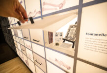 Lange Nacht der Museen mit vielfältigem Programm in St. Pölten