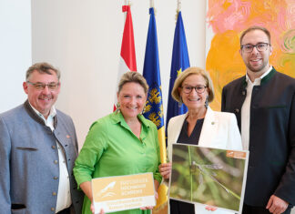 Projekt zur Moorrenaturierung im Naturpark Hochmoor Schrems erfolgreich umgesetzt