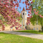Schubertiaden 2025: Eine Herbstsaison voller Highlights