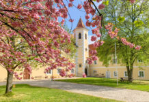 Schubertiaden 2025: Eine Herbstsaison voller Highlights