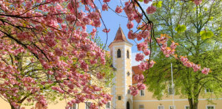 Schubertiaden 2025: Eine Herbstsaison voller Highlights