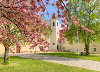 Schubertiaden 2025: Eine Herbstsaison voller Highlights