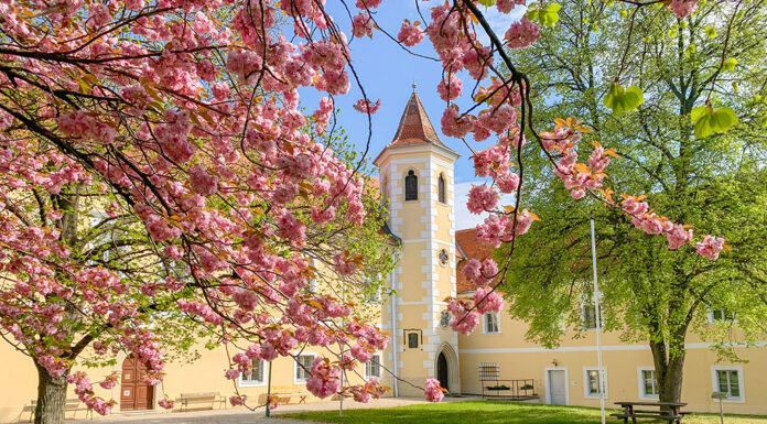 Schubertiaden 2025: Eine Herbstsaison voller Highlights