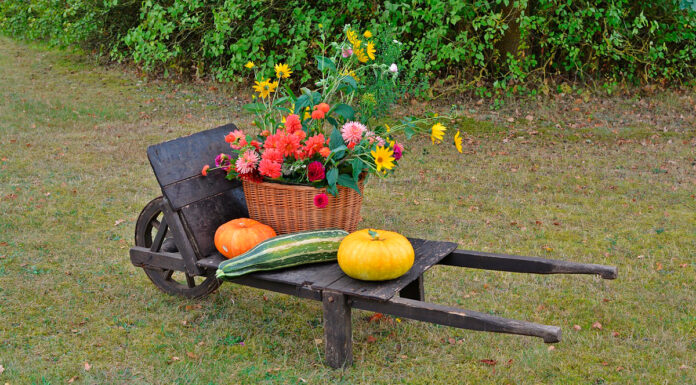 stadtlandzeitung: Online früher lesen!