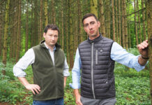 Kehrtwende bei der Entwaldungsverordnung: EU-Kommission lenkt ein