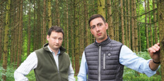 Kehrtwende bei der Entwaldungsverordnung: EU-Kommission lenkt ein