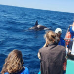 Erasmus day an der HLUW Yspertal