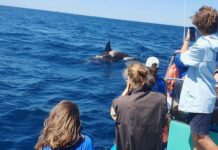 Erasmus day an der HLUW Yspertal