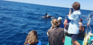 Erasmus day an der HLUW Yspertal