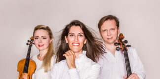 Serenadenkonzerte des Landes Niederösterreich