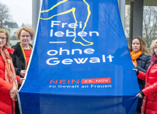 Gemeinsam gegen Gewalt an Frauen in Niederösterreich
