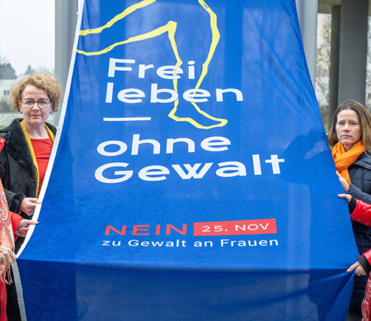 Gemeinsam gegen Gewalt an Frauen in Niederösterreich