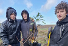 Praktikum in der Natur