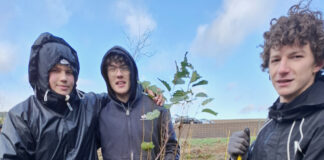 Praktikum in der Natur