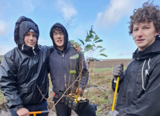 Praktikum in der Natur