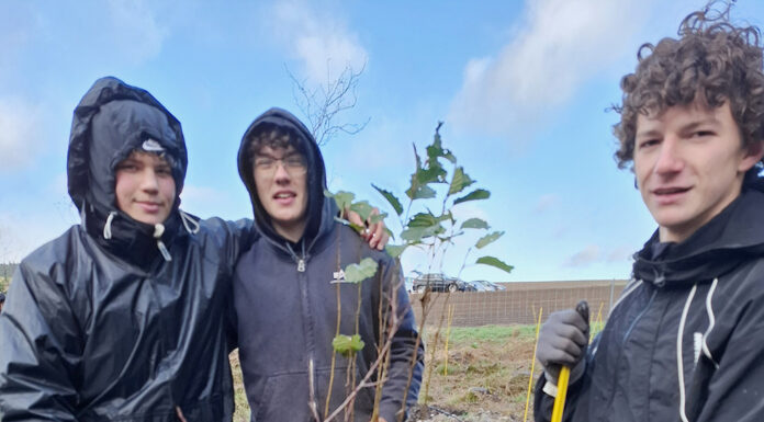 Praktikum in der Natur
