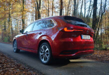 Eleganz in Großformat