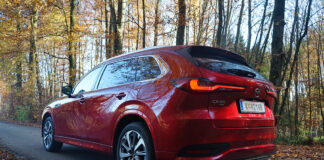 Eleganz in Großformat