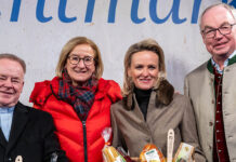„So schmeckt Niederösterreich“-Adventmarkt 2025: Einzigartiges vorweihnachtliches Erlebnis