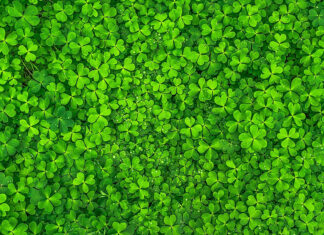 Viel Glück, Erfolg und alles Gute für das neue Jahr 2026