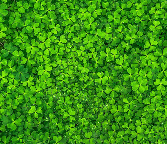 Viel Glück, Erfolg und alles Gute für das neue Jahr 2026