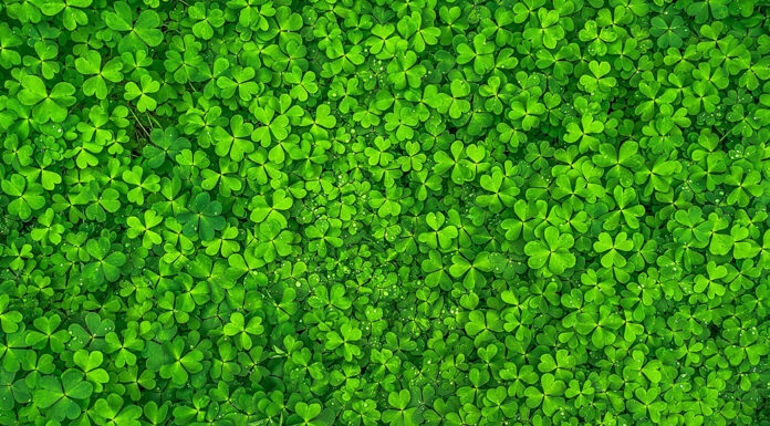 Viel Glück, Erfolg und alles Gute für das neue Jahr 2026