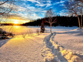 stadtlandzeitung: Online früher lesen!