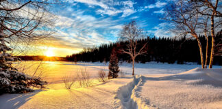 stadtlandzeitung: Online früher lesen!