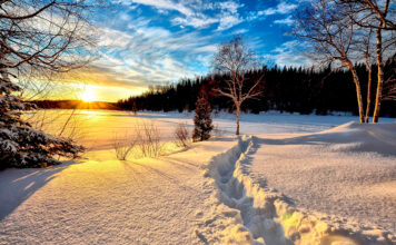 stadtlandzeitung: Online früher lesen!