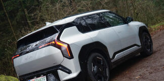 Kleiner Bruder mit großer Attitüde