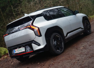 Kleiner Bruder mit großer Attitüde