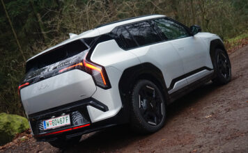 Kleiner Bruder mit großer Attitüde