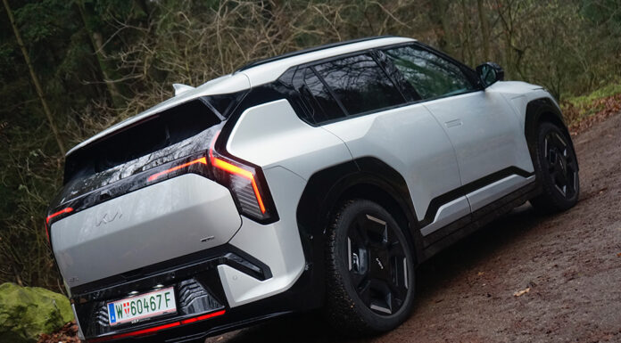 Kleiner Bruder mit großer Attitüde