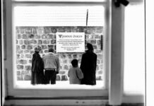 Zum 27. Jänner: Gedenken an die im Nationalsozialismus verfolgten Menschen mit dem Lila Winkel