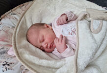 Luna ist Niederösterreichs Neujahrsbaby 2026