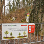 Wiederaufforstungsprojekt am Kremserberg in St. Pölten