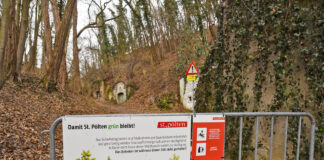 Wiederaufforstungsprojekt am Kremserberg in St. Pölten