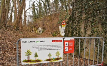 Wiederaufforstungsprojekt am Kremserberg in St. Pölten