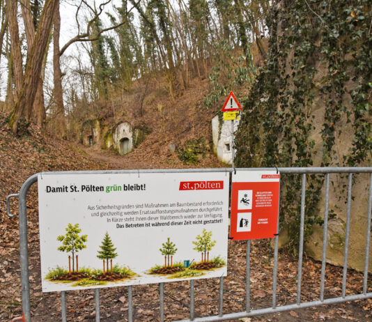 Wiederaufforstungsprojekt am Kremserberg in St. Pölten