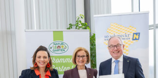 Gemüse von klein auf schätzen lernen: Aktion „Gemüsepyramide“ stärkt Ernährungskompetenz bei Kindern